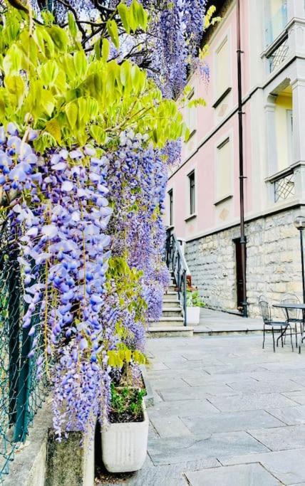 Charming & Luxury Villa Como Lake Exteriér fotografie